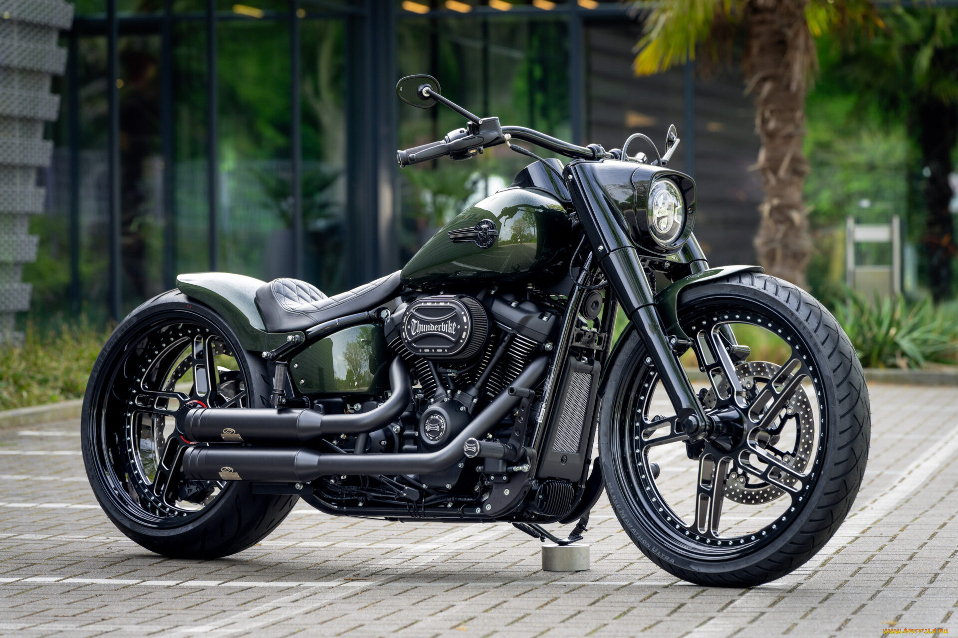, harley-davidson, softail, fat, boy, 114, raptor, force, customized, custombikes